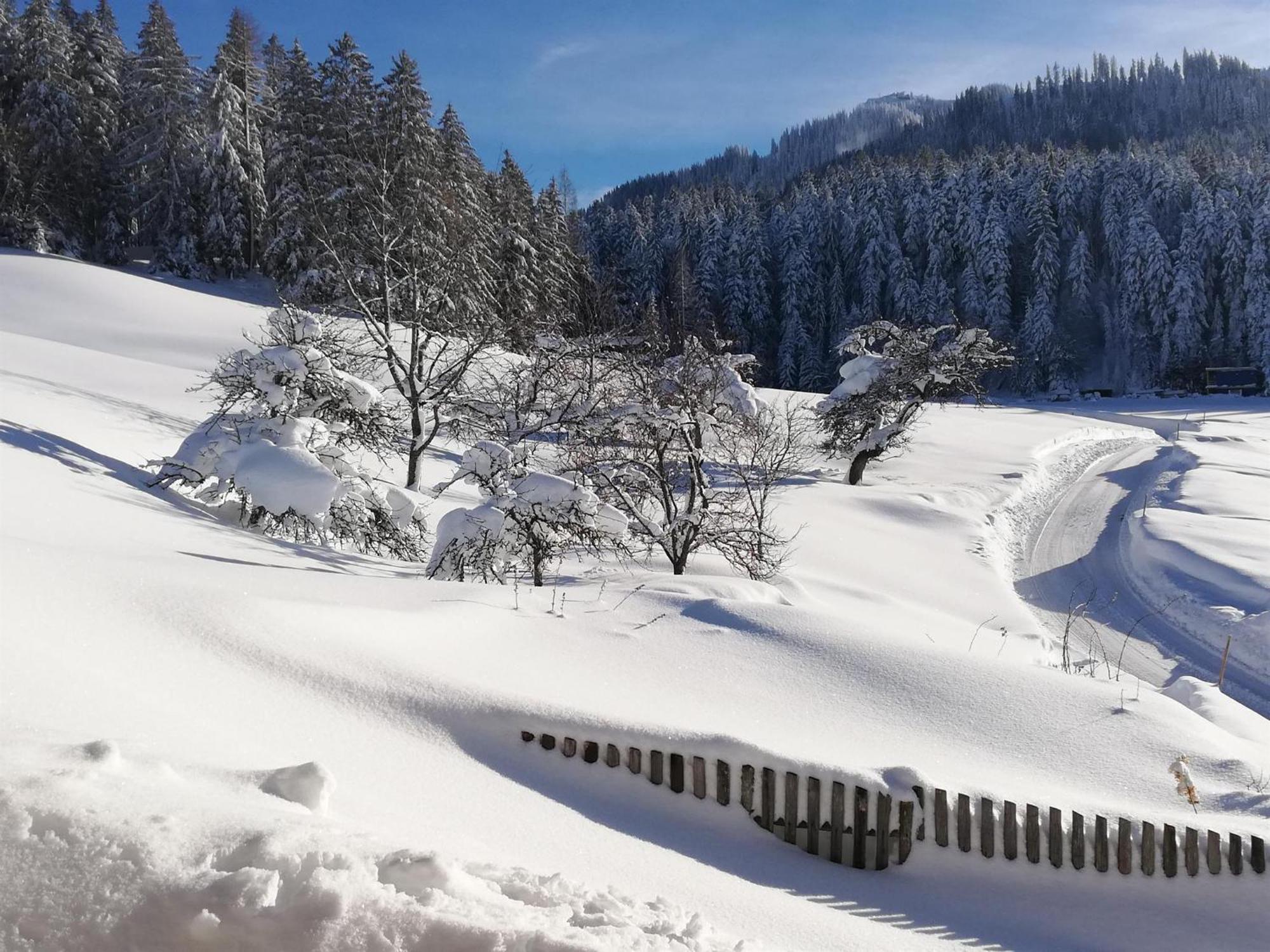 Hahnenkammblick Villa Kitzbühel Exteriör bild